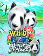 สนุกสนานกับ king189 jokerpg slot asia 15 รับ 100 จริงไหม?